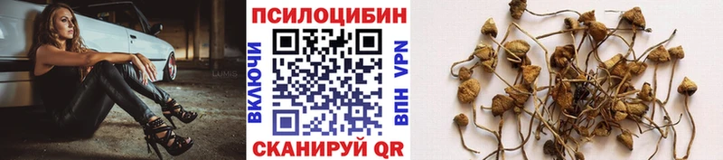 мега ONION  Вилюйск  даркнет наркотические препараты  Галлюциногенные грибы мицелий 